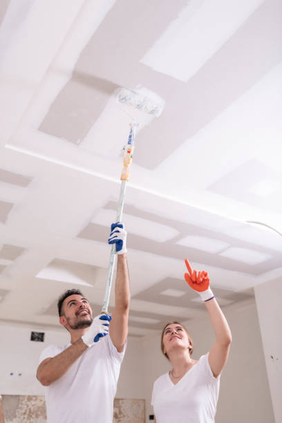 Best Ceiling Drywall Installation  in , GA